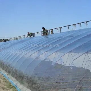 تصویر 4 از خرید پلاستیک گلخانه‌ای شفاف عرض 10 متر + فروش بدون واسطه